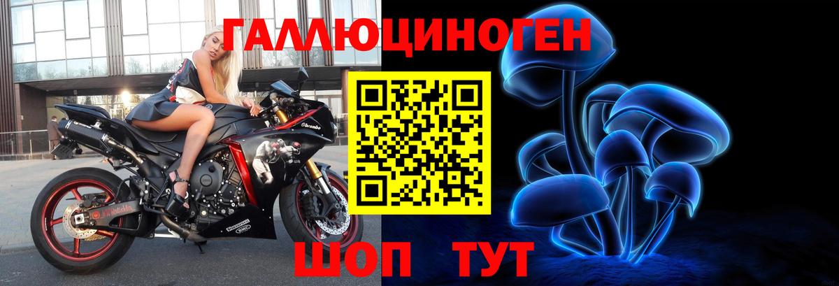 Псилоцибиновые грибы мухоморы Кандалакша
