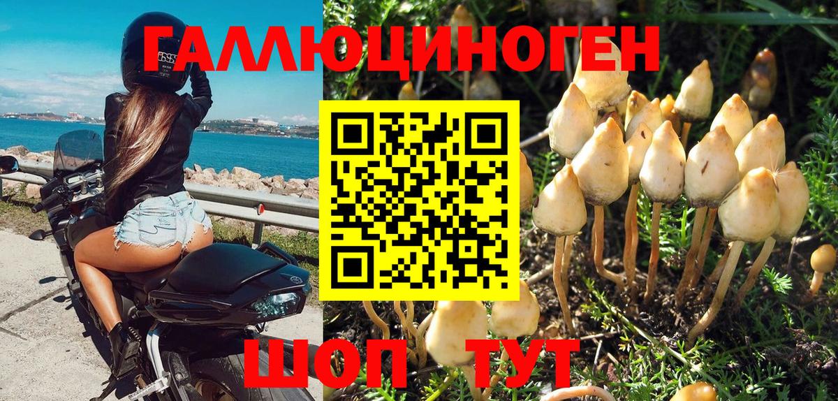 Псилоцибиновые грибы MAGIC MUSHROOMS  Вход с VPN  Кандалакша 